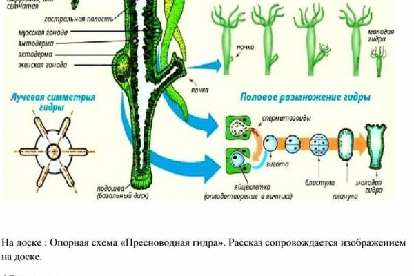 Не могу зайти на кракен