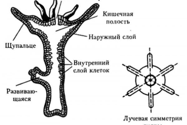 Кракен маркет это