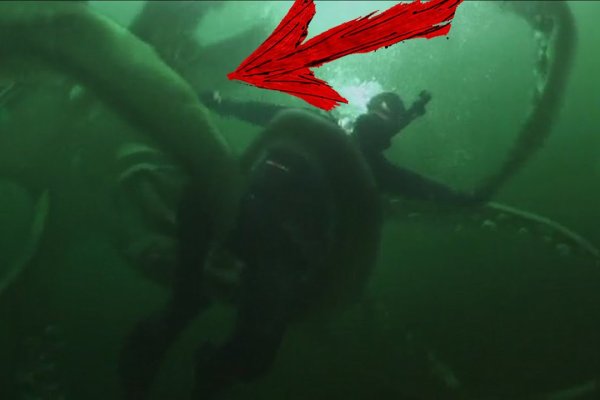 Кракен сайт официальный kraken clear com