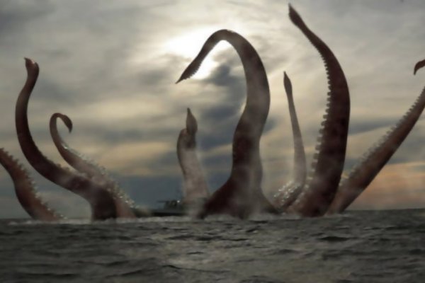 Kraken актуальные ссылки