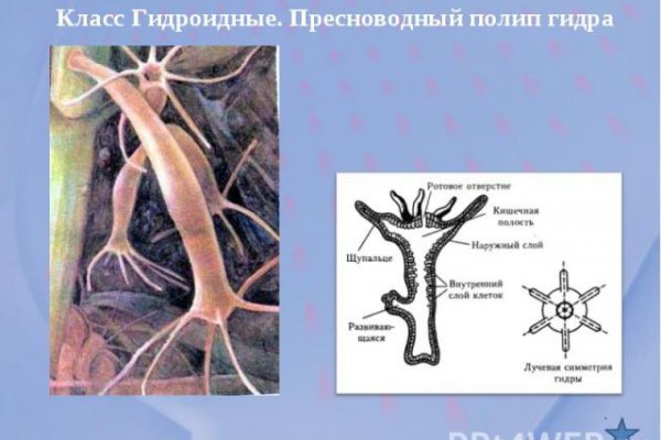 Даркнет официальный сайт вход