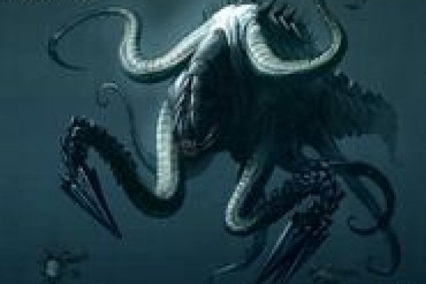 Kraken org